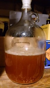 Wild Yeast 02 Upstairs