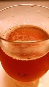 Lavender Spruce Springsteen