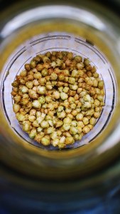 Fresh Hops Second 03