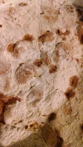 Saison Bretta Prunus Pellicle